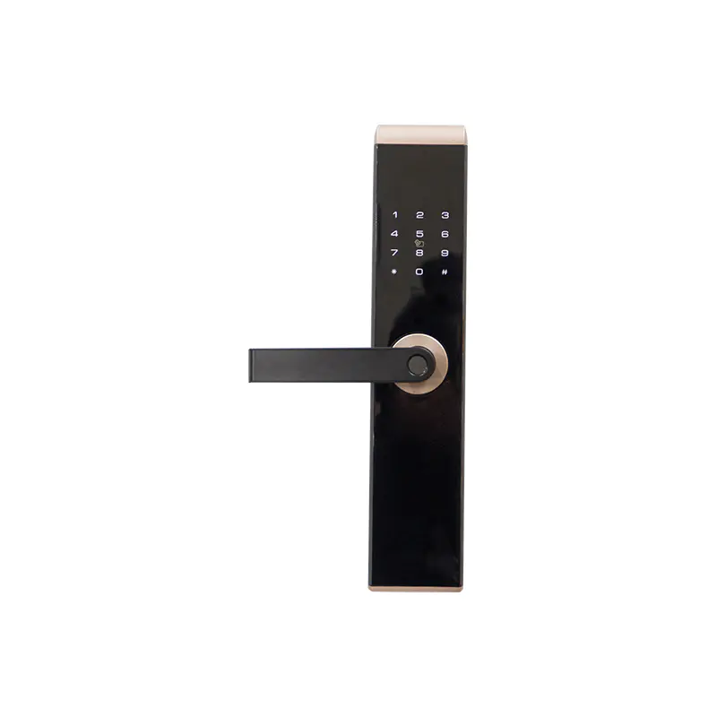 DM6A7778 DM6A7778 With Coded Fingerprint