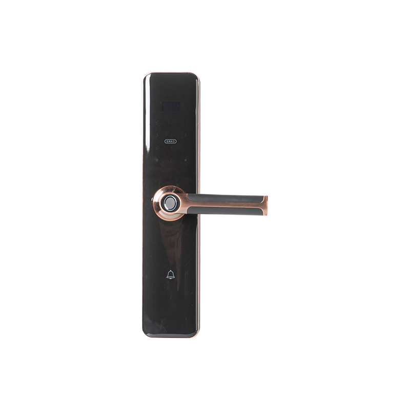 DM6A7735 DM6A7735 Smart Electronic Lock