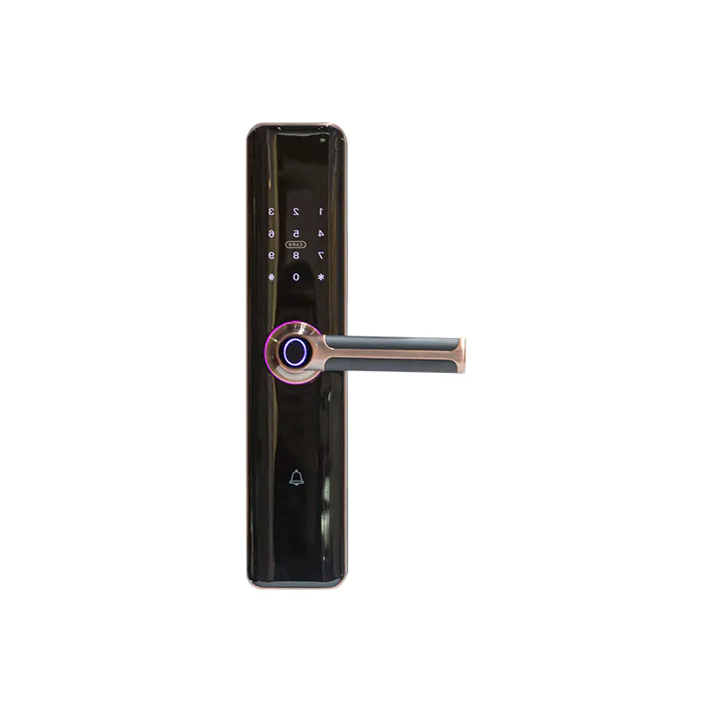 DM6A7735 DM6A7735Electronic Lock with Bell Handle and Fingerprint